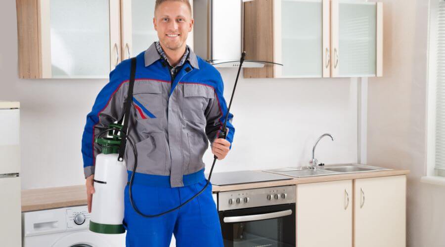 Professional real estate pest inspections services in Carbondale